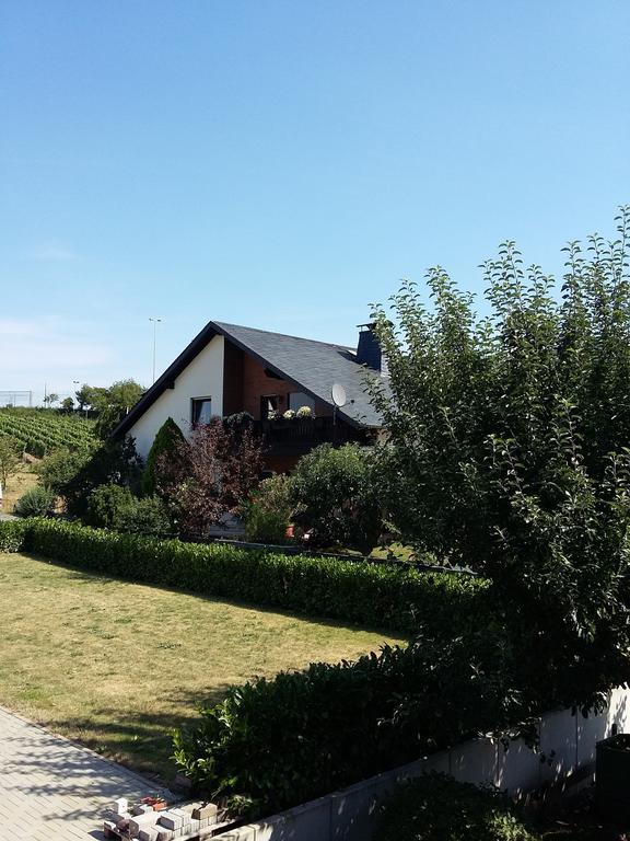 Ferienhaus "Anne" Und Weingut Willi Fett Ellenz-Poltersdorf Room photo