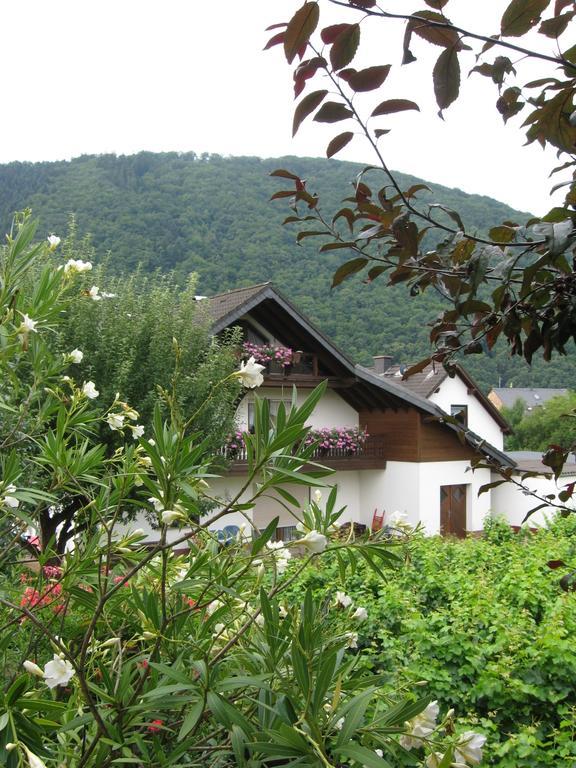 Ferienhaus "Anne" Und Weingut Willi Fett Ellenz-Poltersdorf Exterior photo
